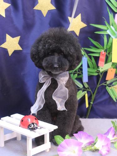 20230729ラブくん